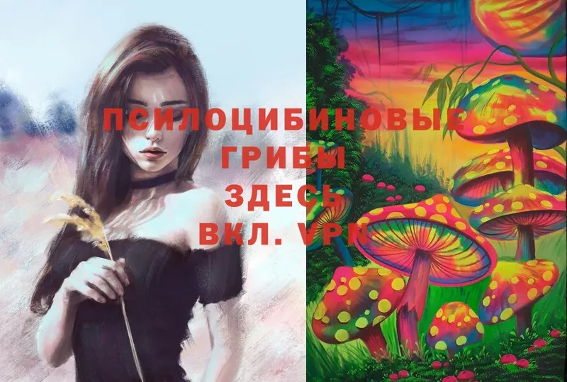 Галлюциногенные грибы Magic Shrooms  Морозовск 